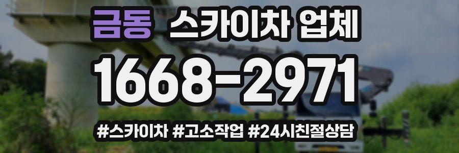 금동 스카이차 업체