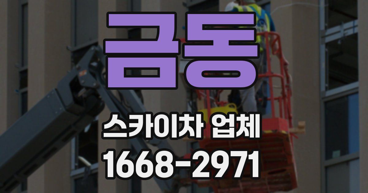 금동 스카이차 업체