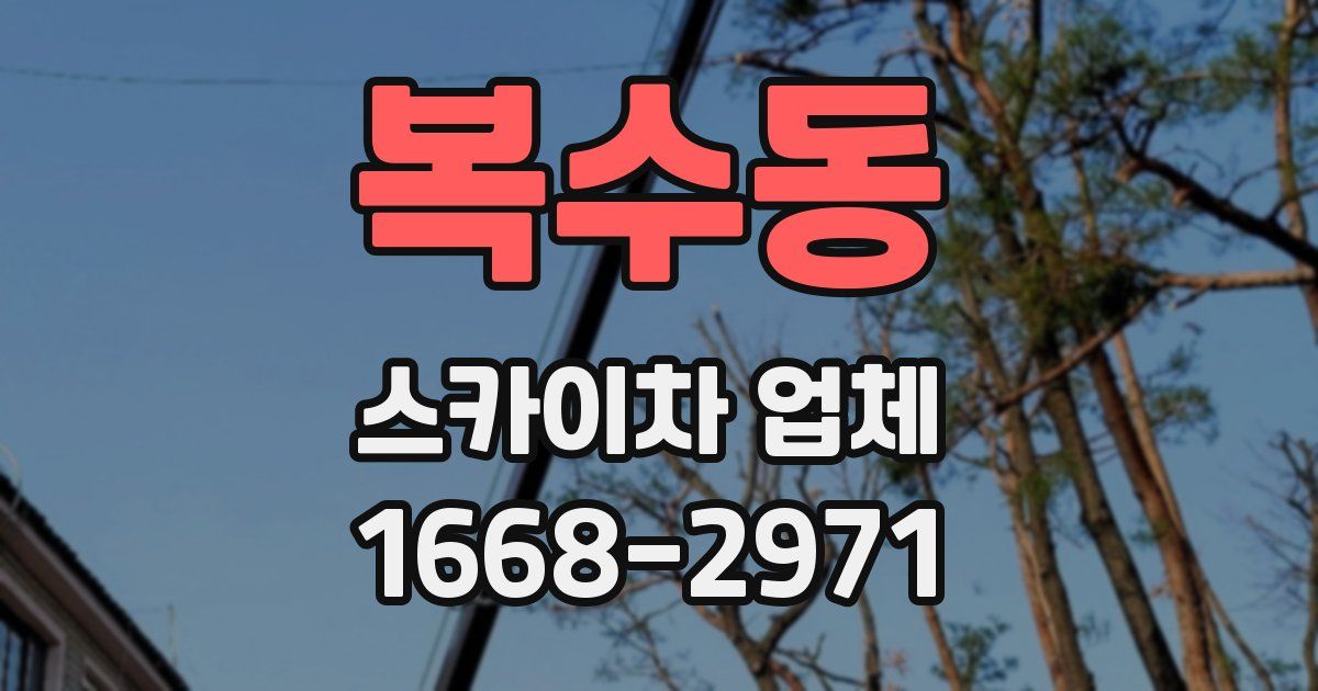 복수동 스카이차 업체