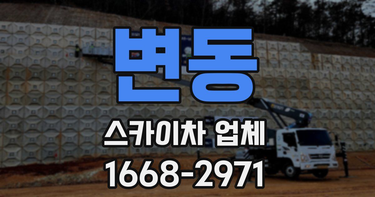 변동 스카이차 업체