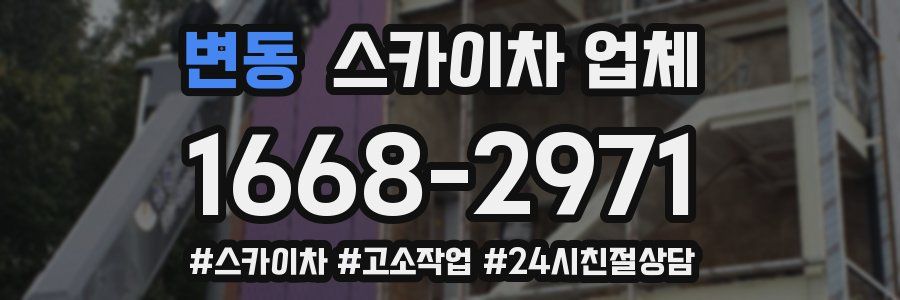 변동 스카이차 업체