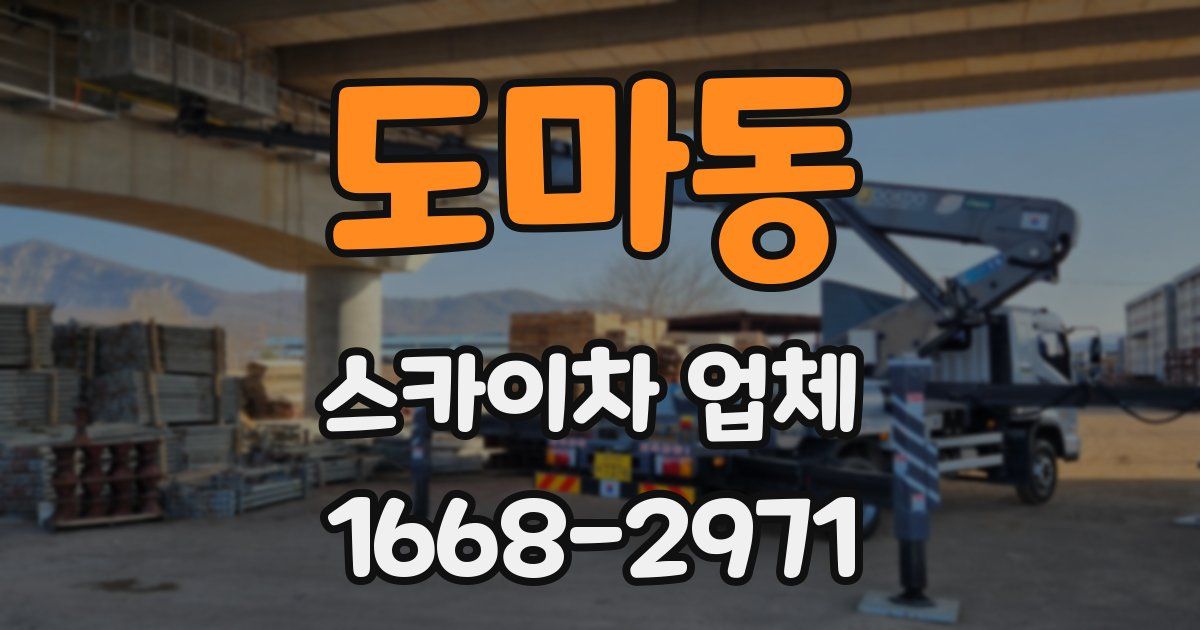 도마동 스카이차 업체