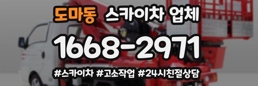도마동 스카이차 업체