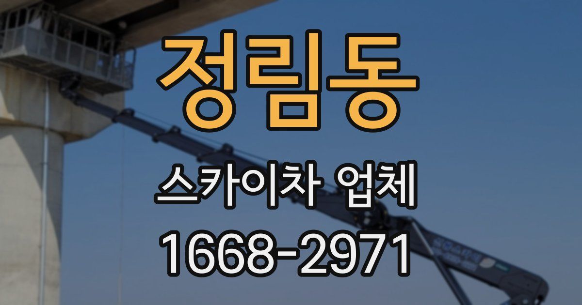 정림동 스카이차 업체