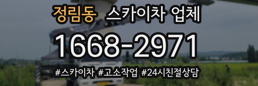 정림동 스카이차 업체
