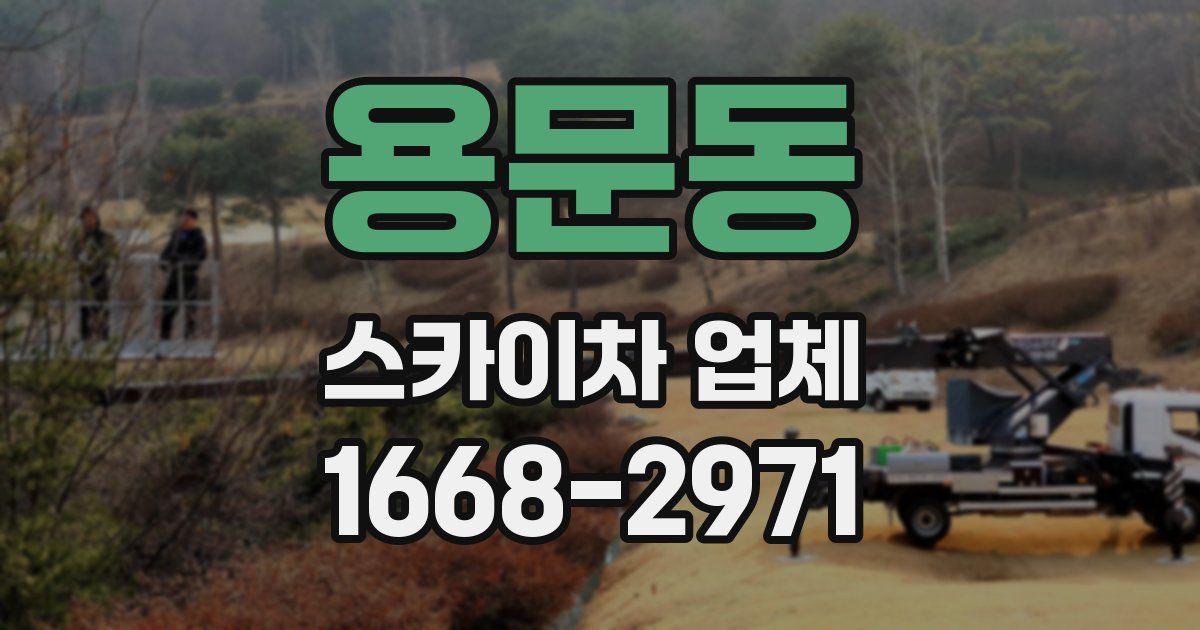 용문동 스카이차 업체