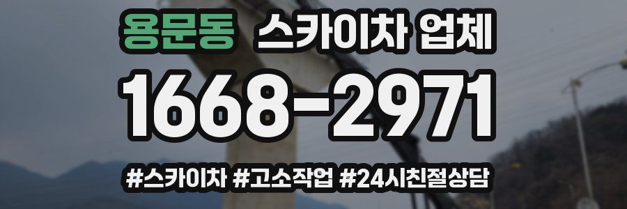 용문동 스카이차 업체
