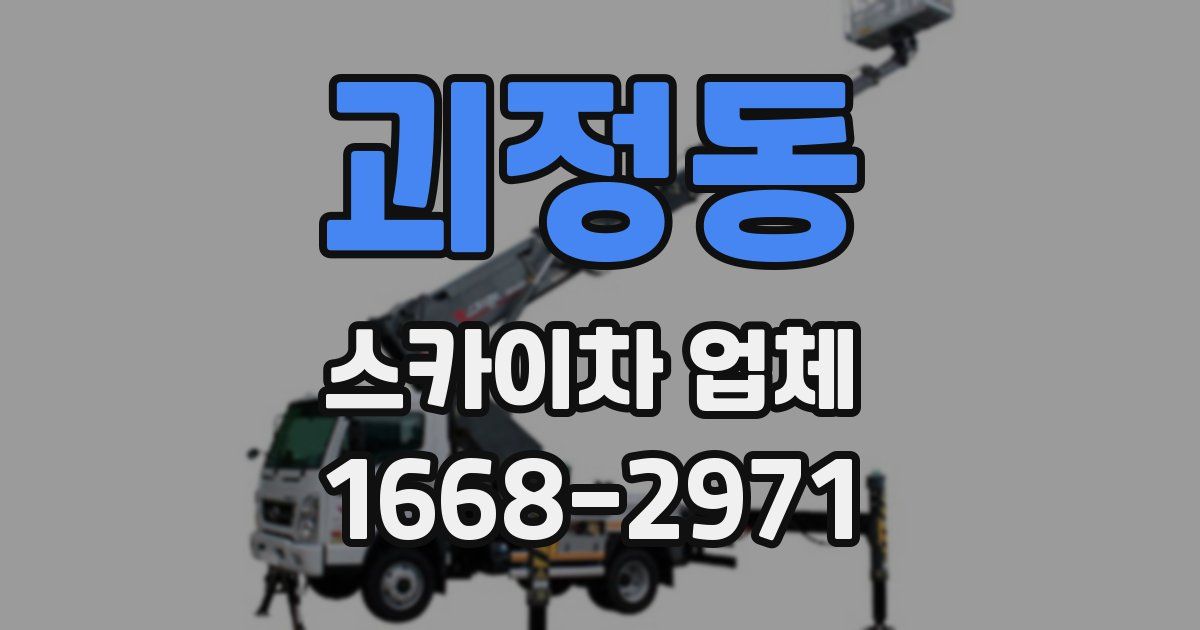 괴정동 스카이차 업체