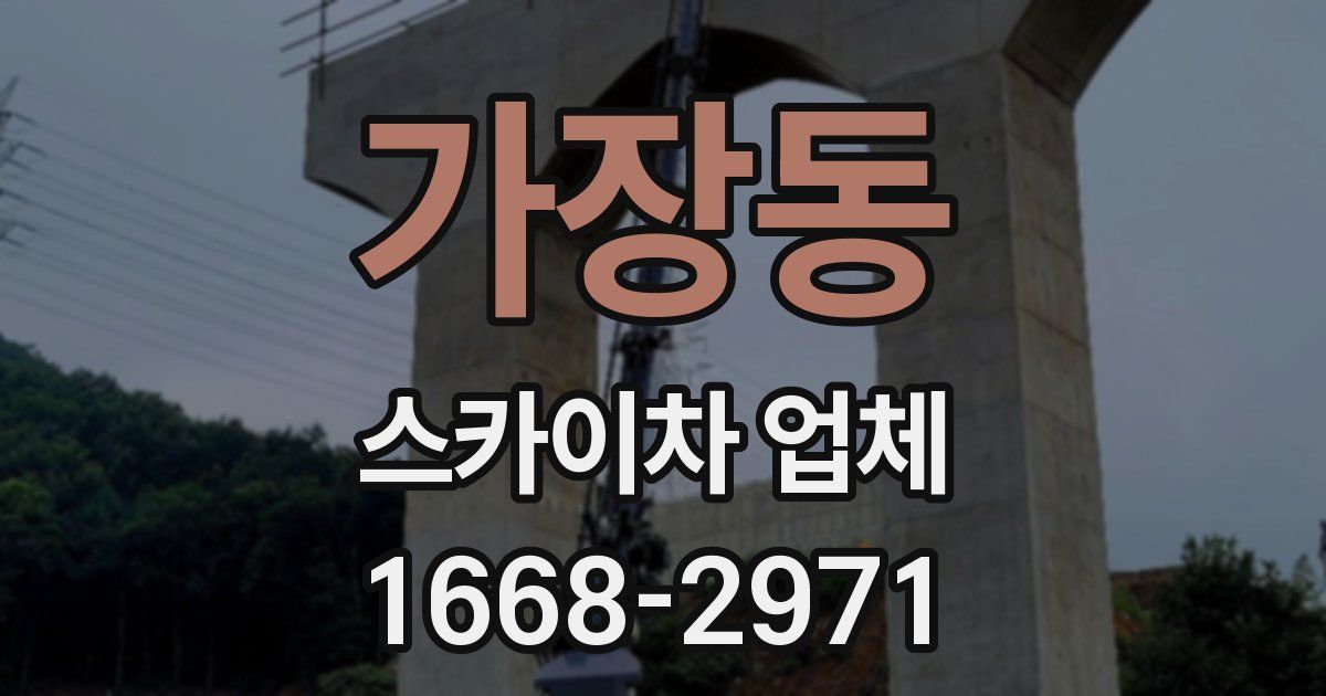 가장동 스카이차 업체