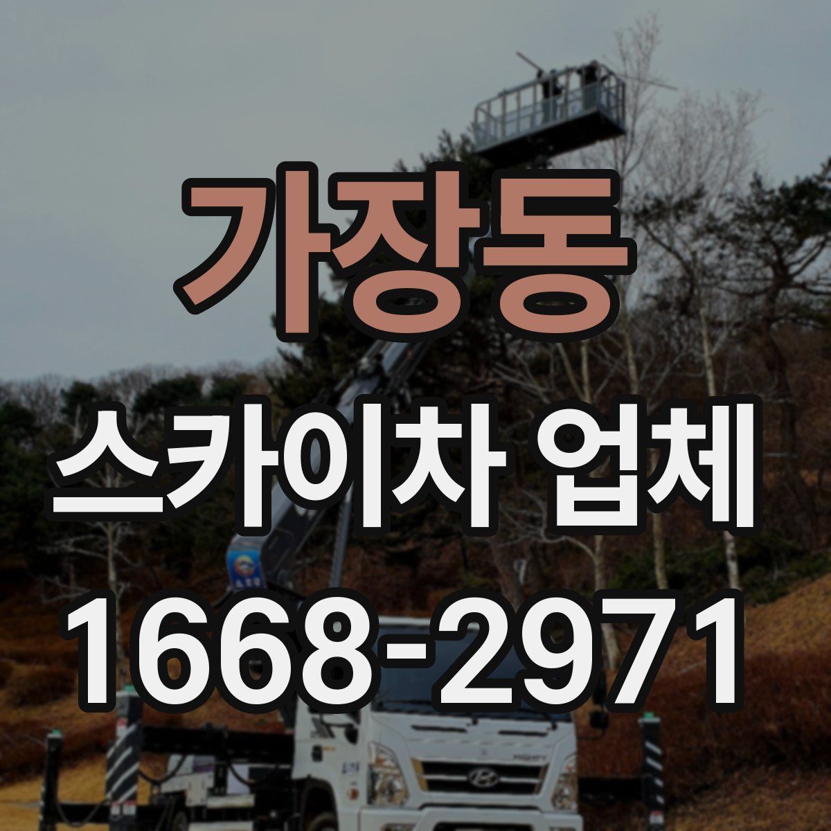 가장동 스카이차 업체