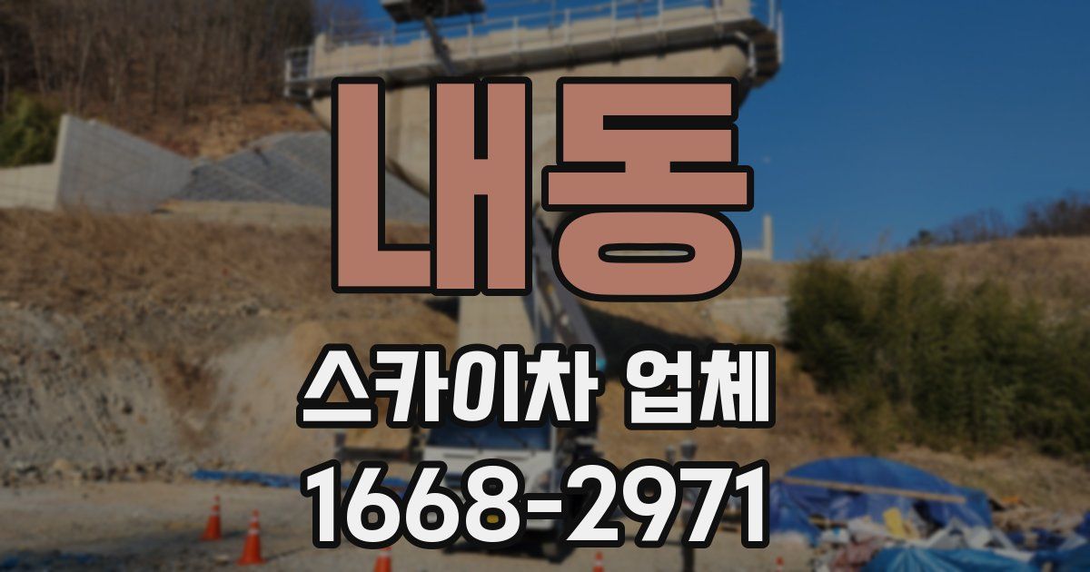 내동 스카이차 업체
