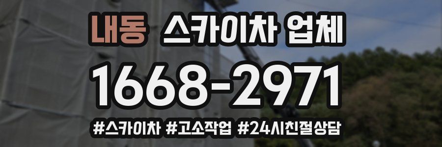 내동 스카이차 업체