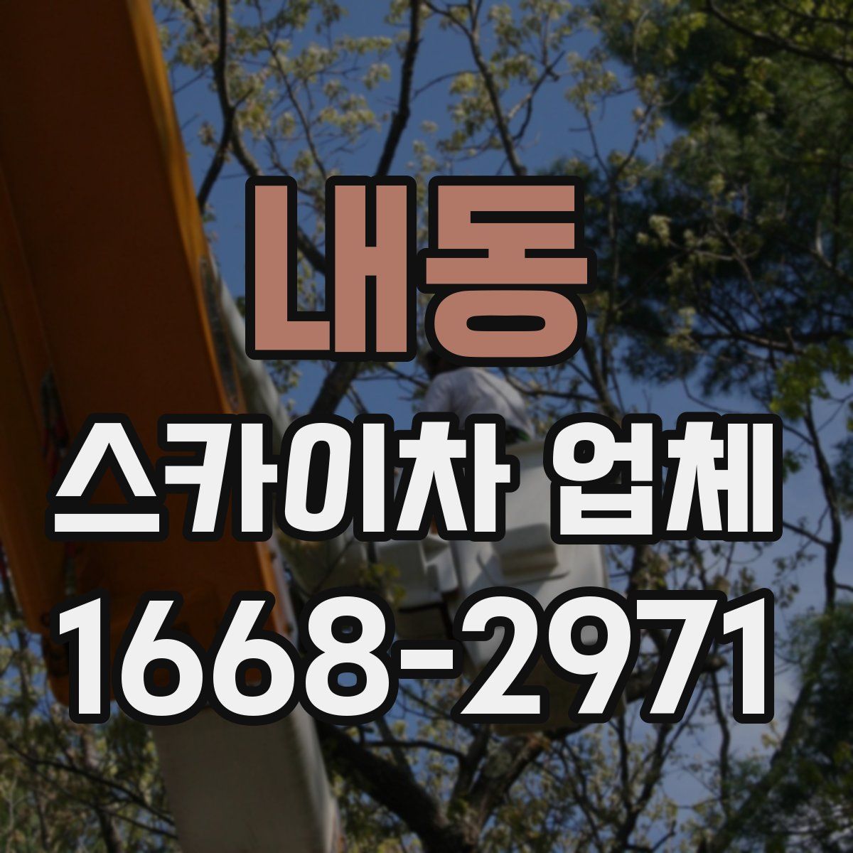 내동 스카이차 업체