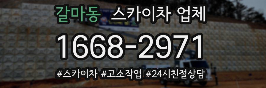 갈마동 스카이차 업체