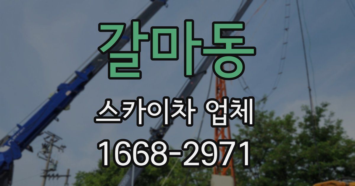 갈마동 스카이차 업체