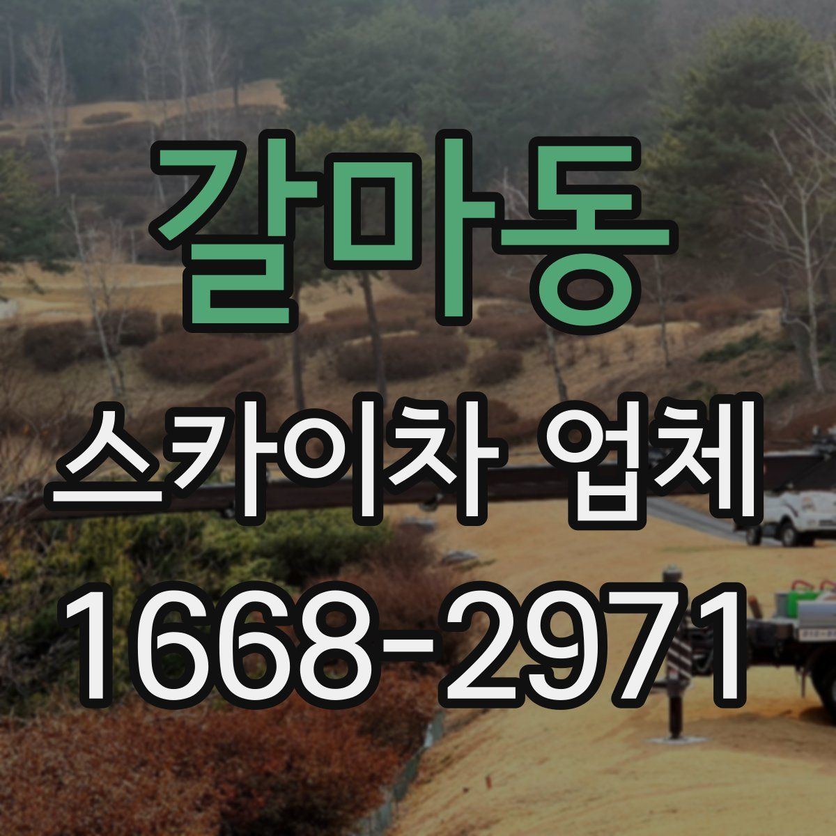 갈마동 스카이차 업체