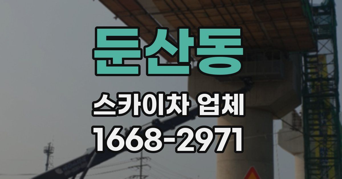 둔산동 스카이차 업체