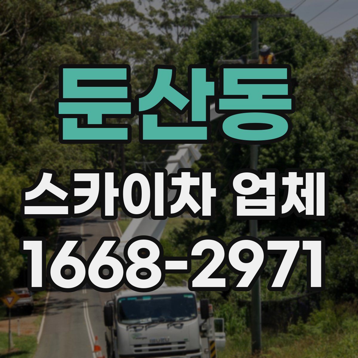 둔산동 스카이차 업체