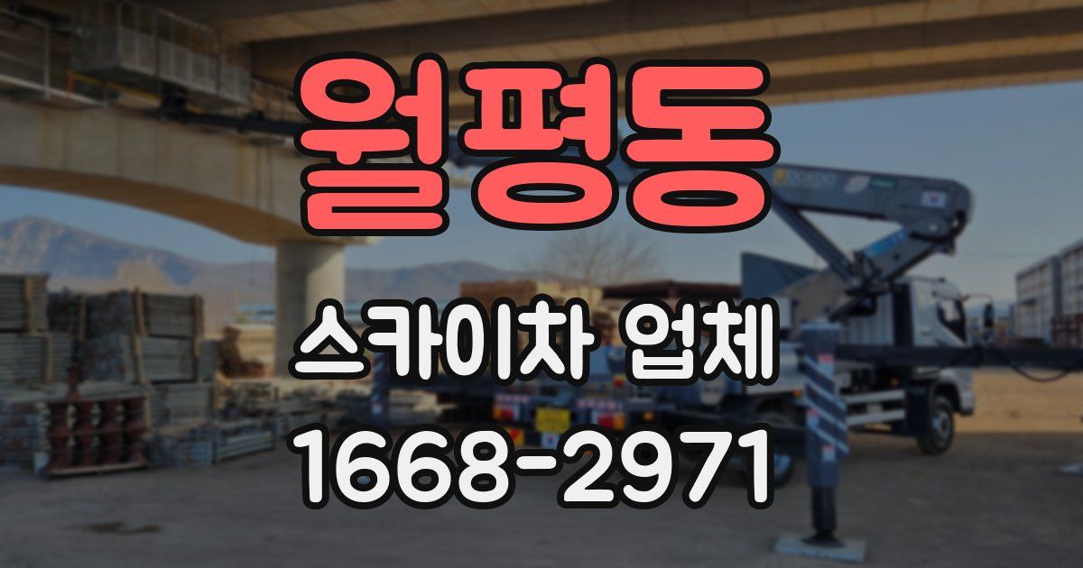 월평동 스카이차 업체