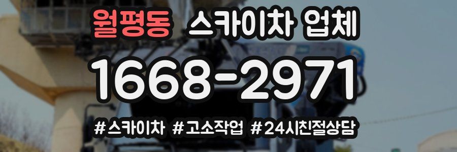 월평동 스카이차 업체