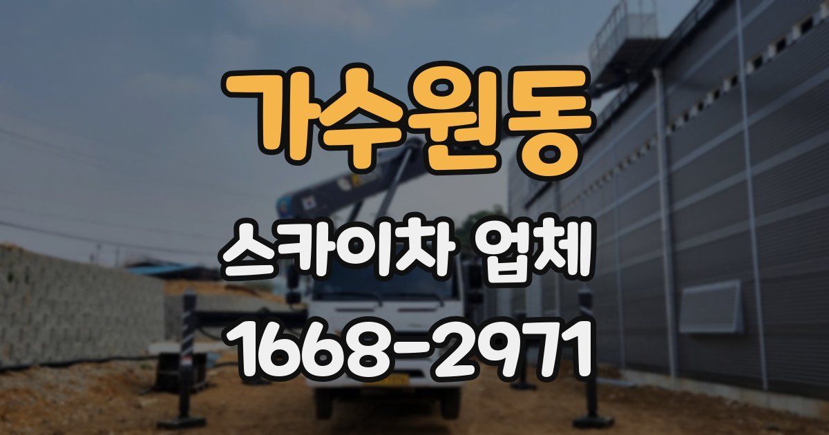 가수원동 스카이차 업체