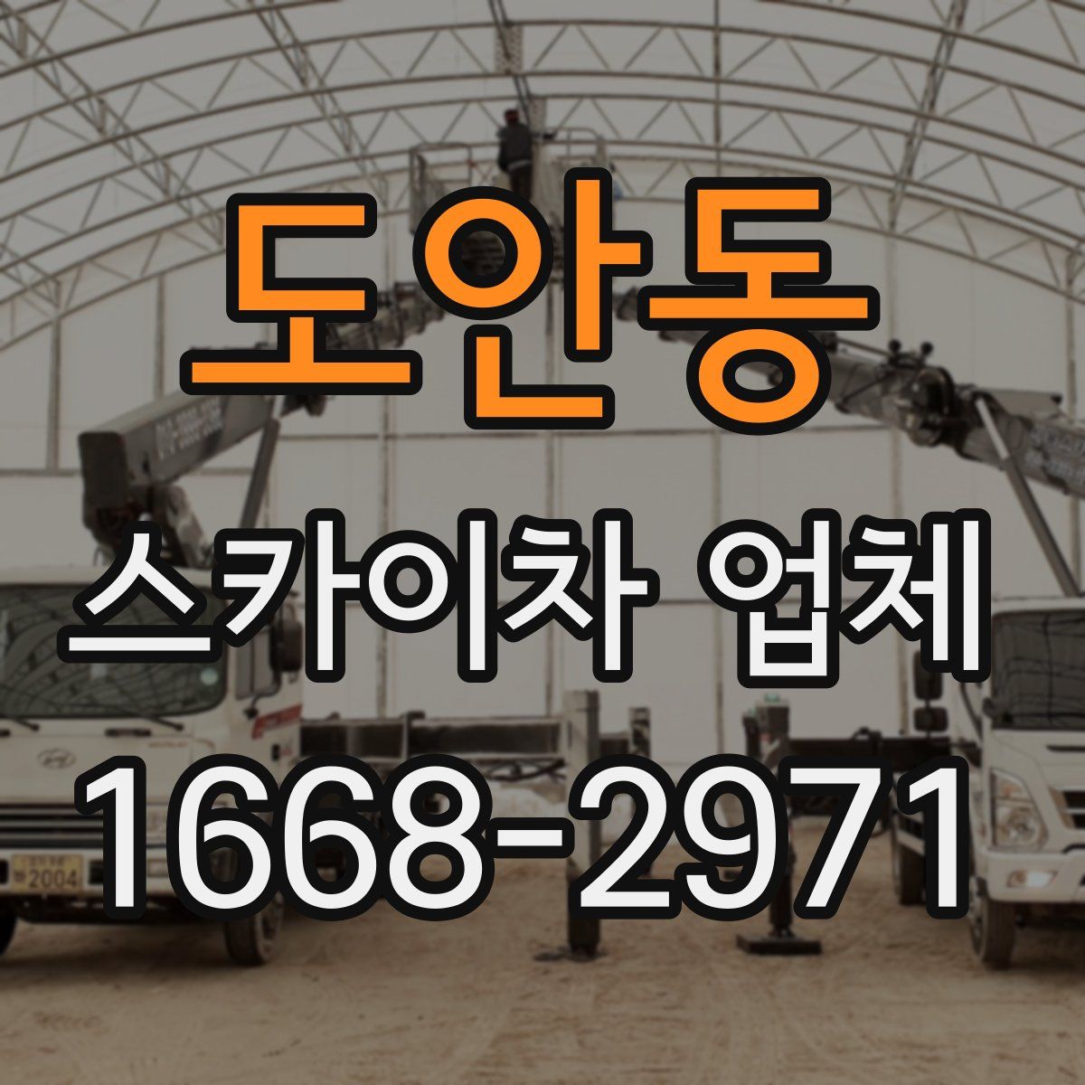 도안동 스카이차 업체