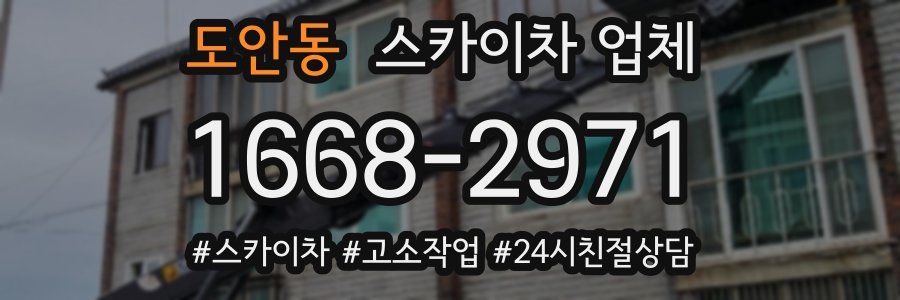 도안동 스카이차 업체