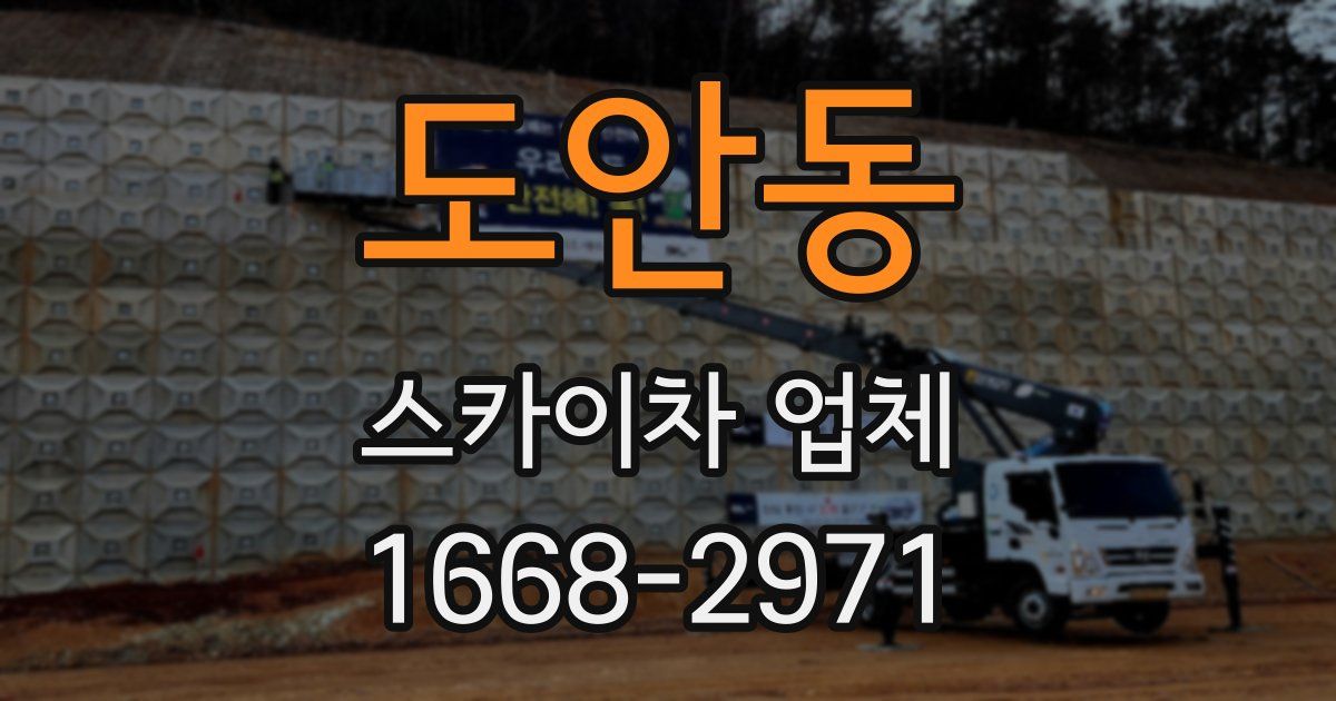 도안동 스카이차 업체