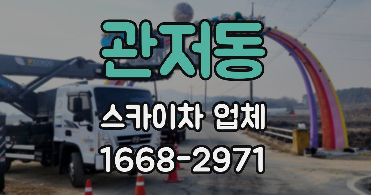 관저동 스카이차 업체