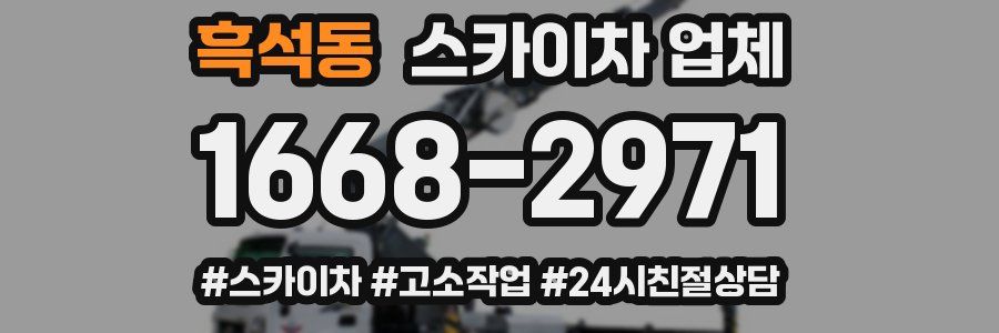 흑석동 스카이차 업체