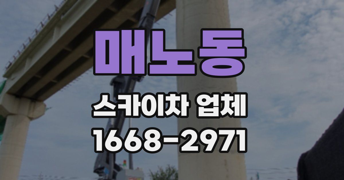 매노동 스카이차 업체
