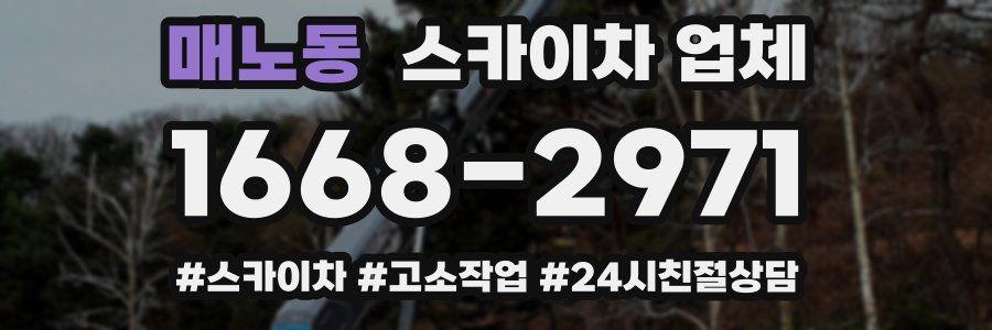 매노동 스카이차 업체