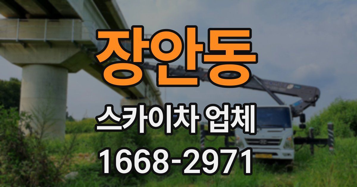 장안동 스카이차 업체