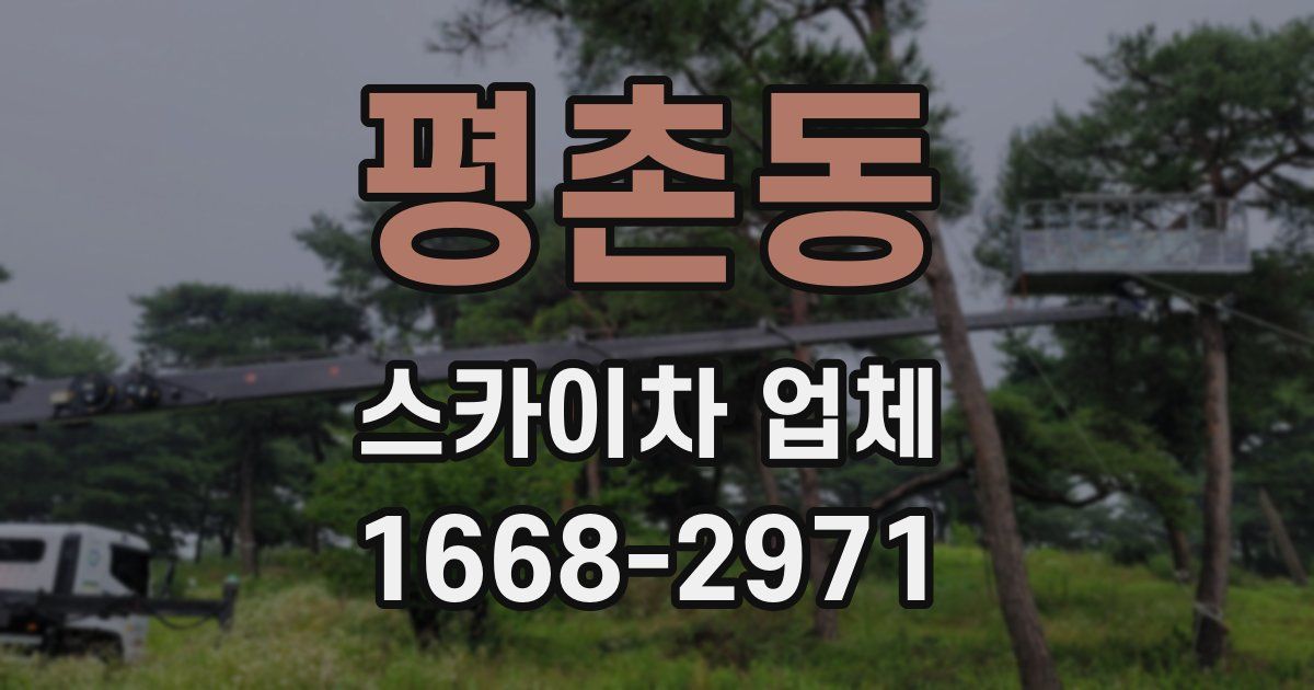 평촌동 스카이차 업체