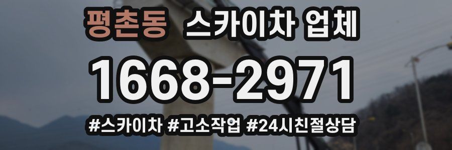 평촌동 스카이차 업체