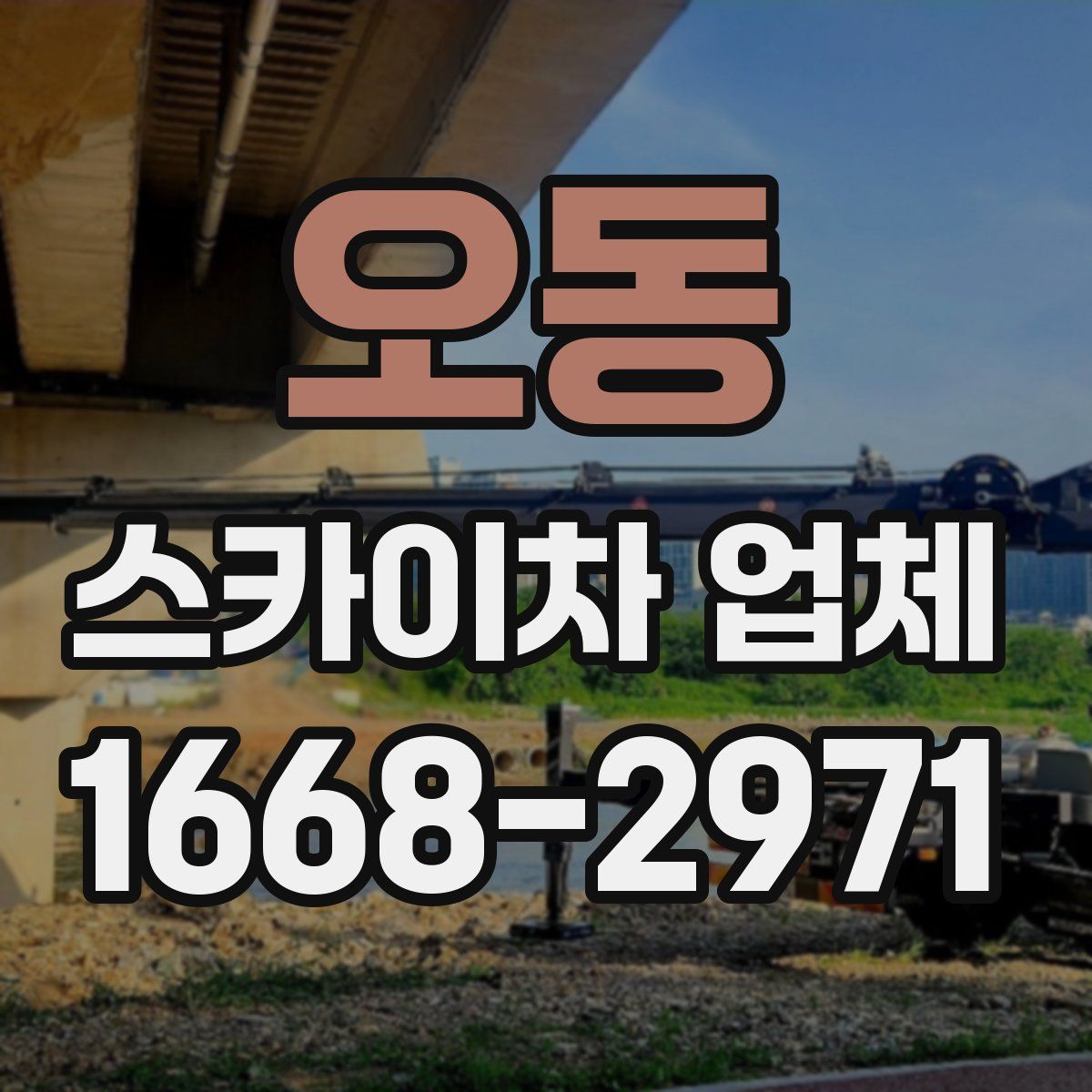 오동 스카이차 업체