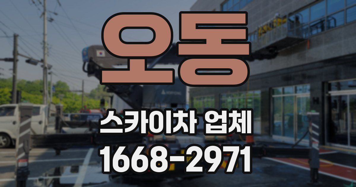 오동 스카이차 업체