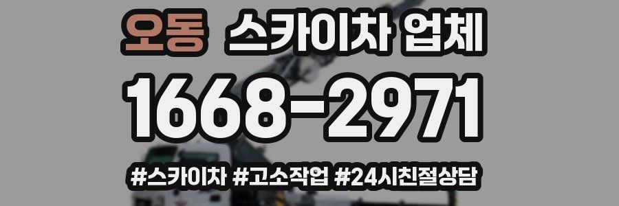 오동 스카이차 업체