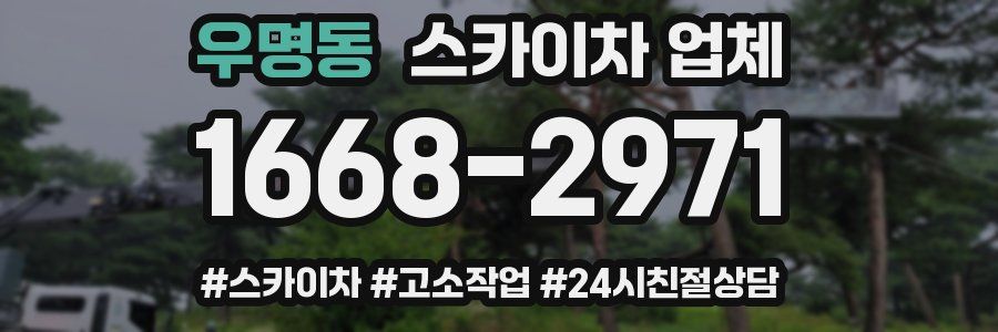 우명동 스카이차 업체