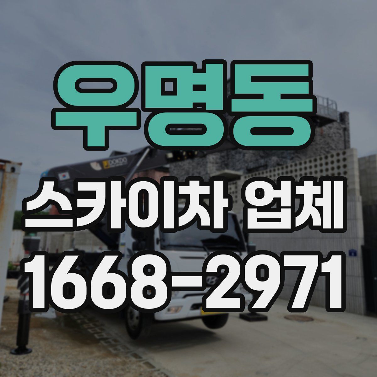 우명동 스카이차 업체