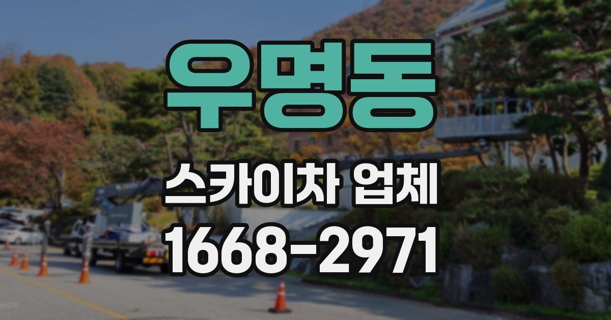 우명동 스카이차 업체