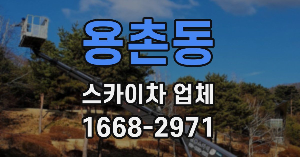 용촌동 스카이차 업체