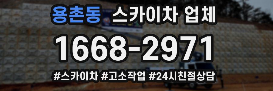 용촌동 스카이차 업체