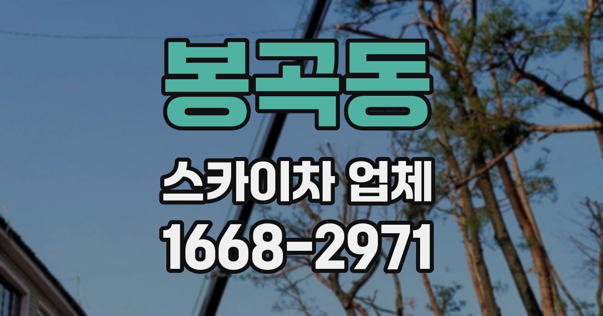 봉곡동 스카이차 업체