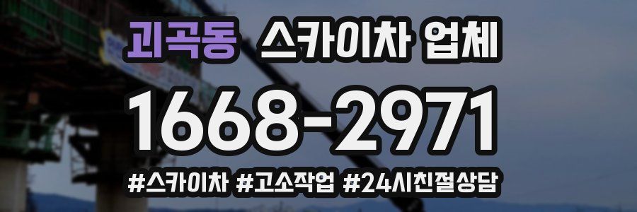 괴곡동 스카이차 업체