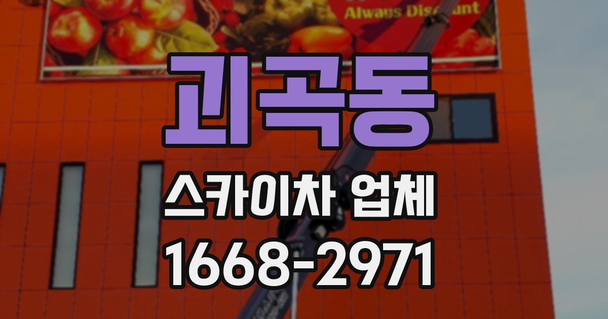 괴곡동 스카이차 업체