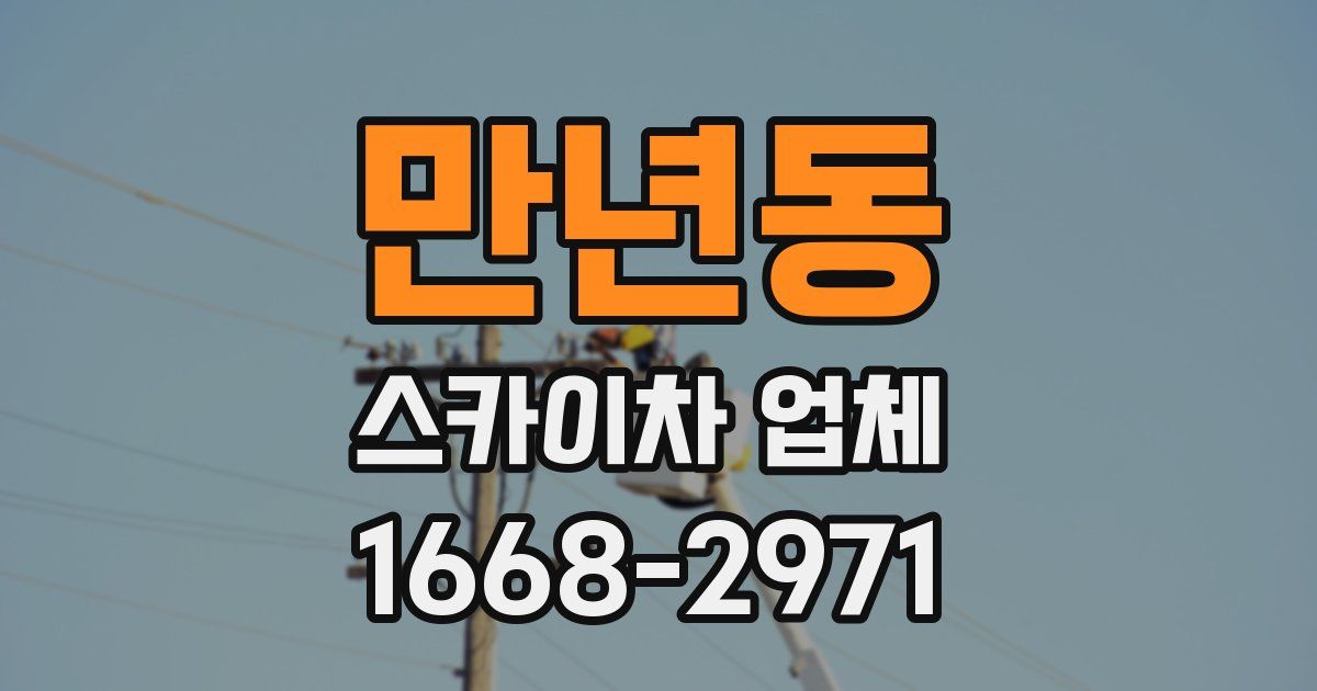 만년동 스카이차 업체