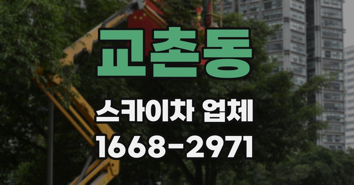 교촌동 스카이차 업체