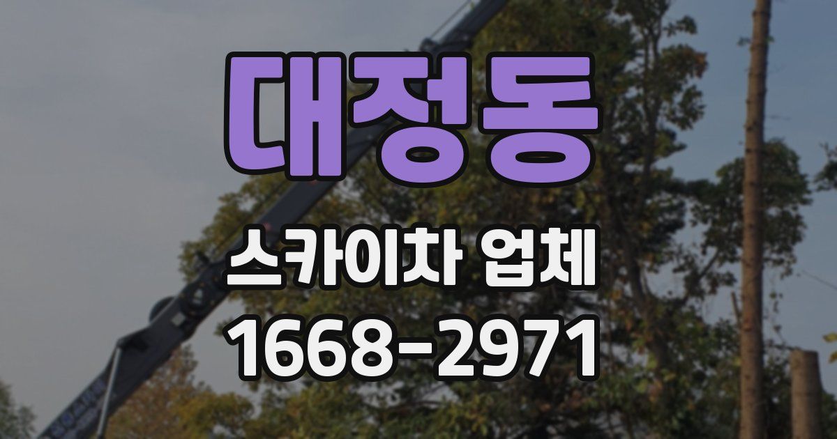 대정동 스카이차 업체