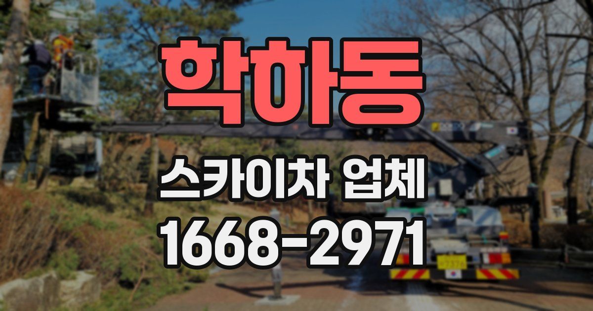 학하동 스카이차 업체
